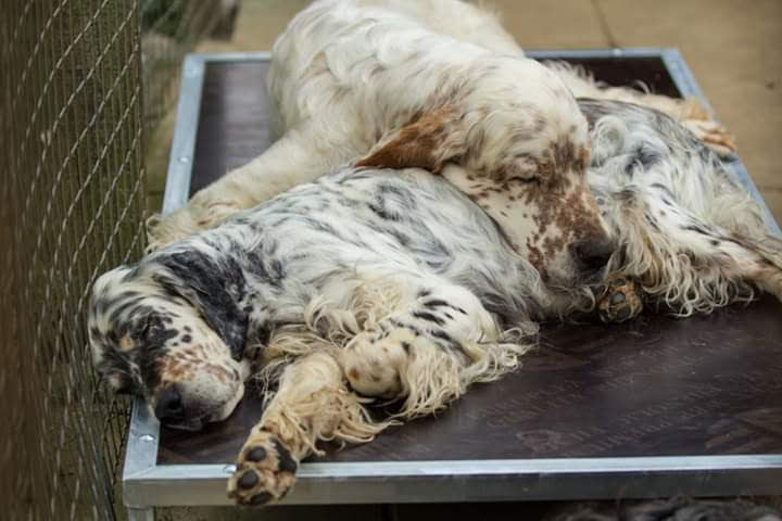 Dreaming of a good nights sleep?