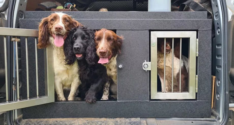 How we can help your dogs travel anxiety