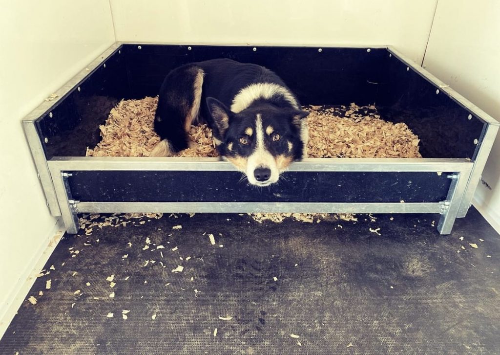 Advantages of our Anti- Chew Beds