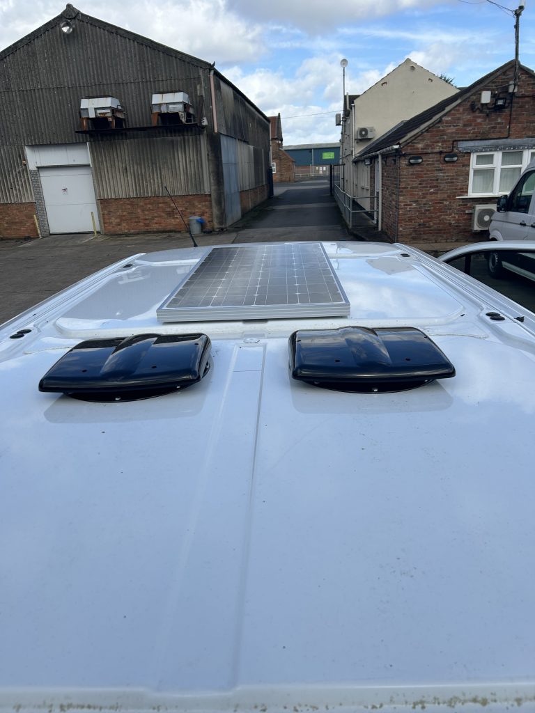 Keeping your Dog Cool this Summer