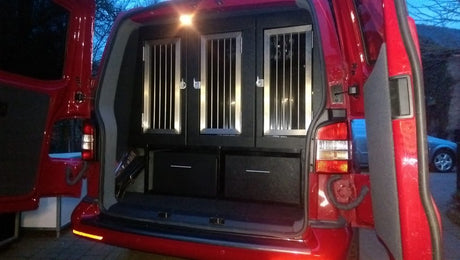 Carrying Dogs in Cars: Staying Compliant with the UK Law