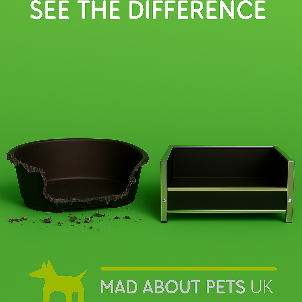 Premium Anti-Chew Dog Beds