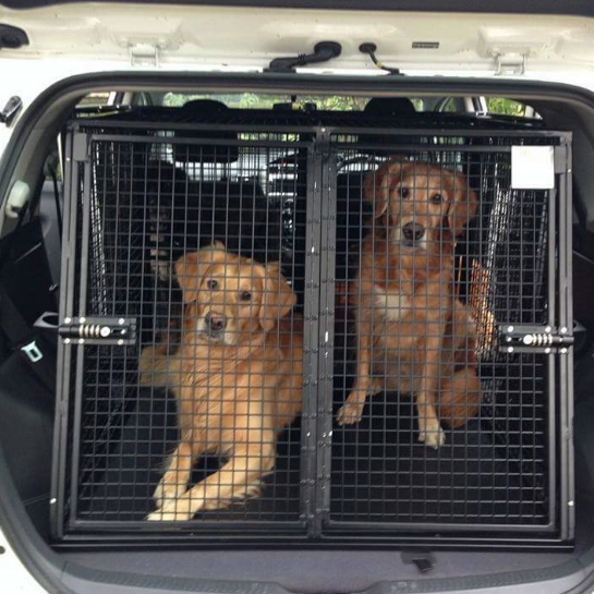 MAD ABOUT keeping your PETS safe!