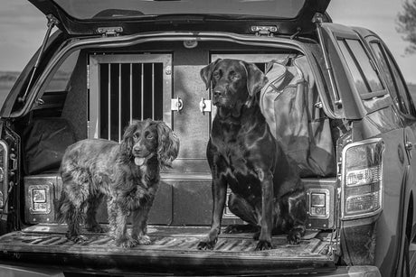 Should you choose your box based on your vehicle or dog?