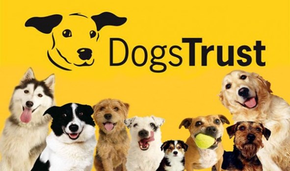 Dogs Trust: What a Place