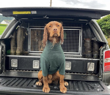 Everything you need to know …