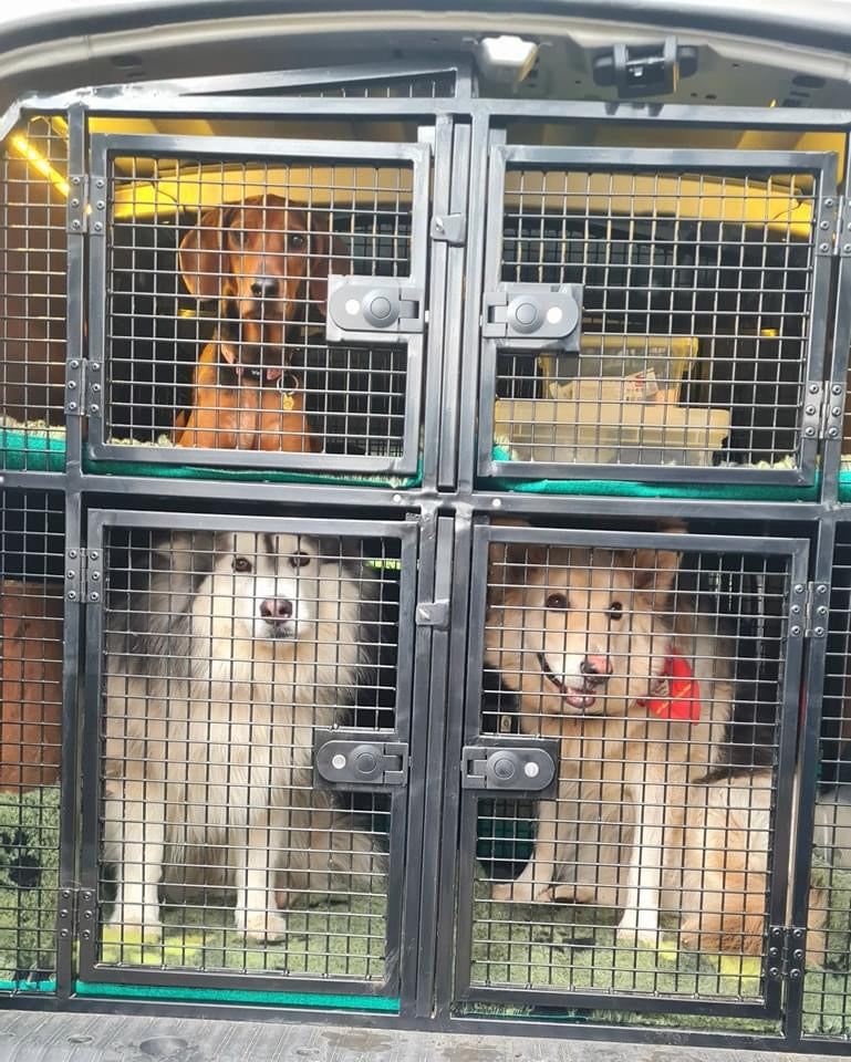 Travel with Mad About Pets UK