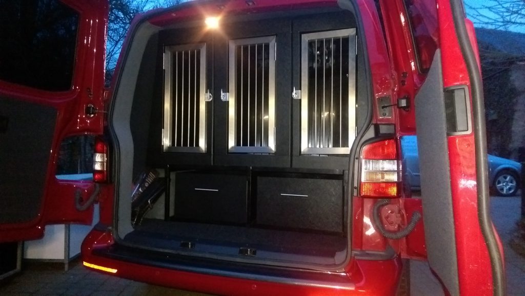Carrying Dogs in Cars: Staying Compliant with the UK Law