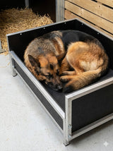 Premium Anti-Chew Dog Beds