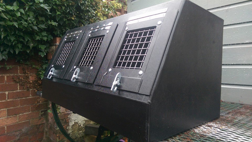 Terrier Box