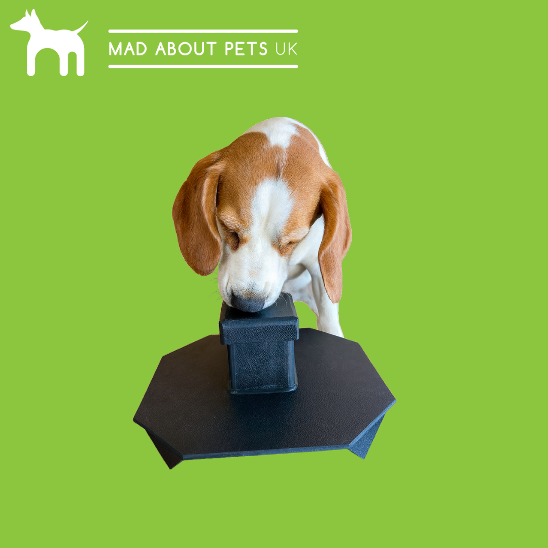 Scent Enrichment Octagon