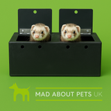 Ferret Box