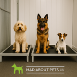 Anti-Chew Dog Bed Platform