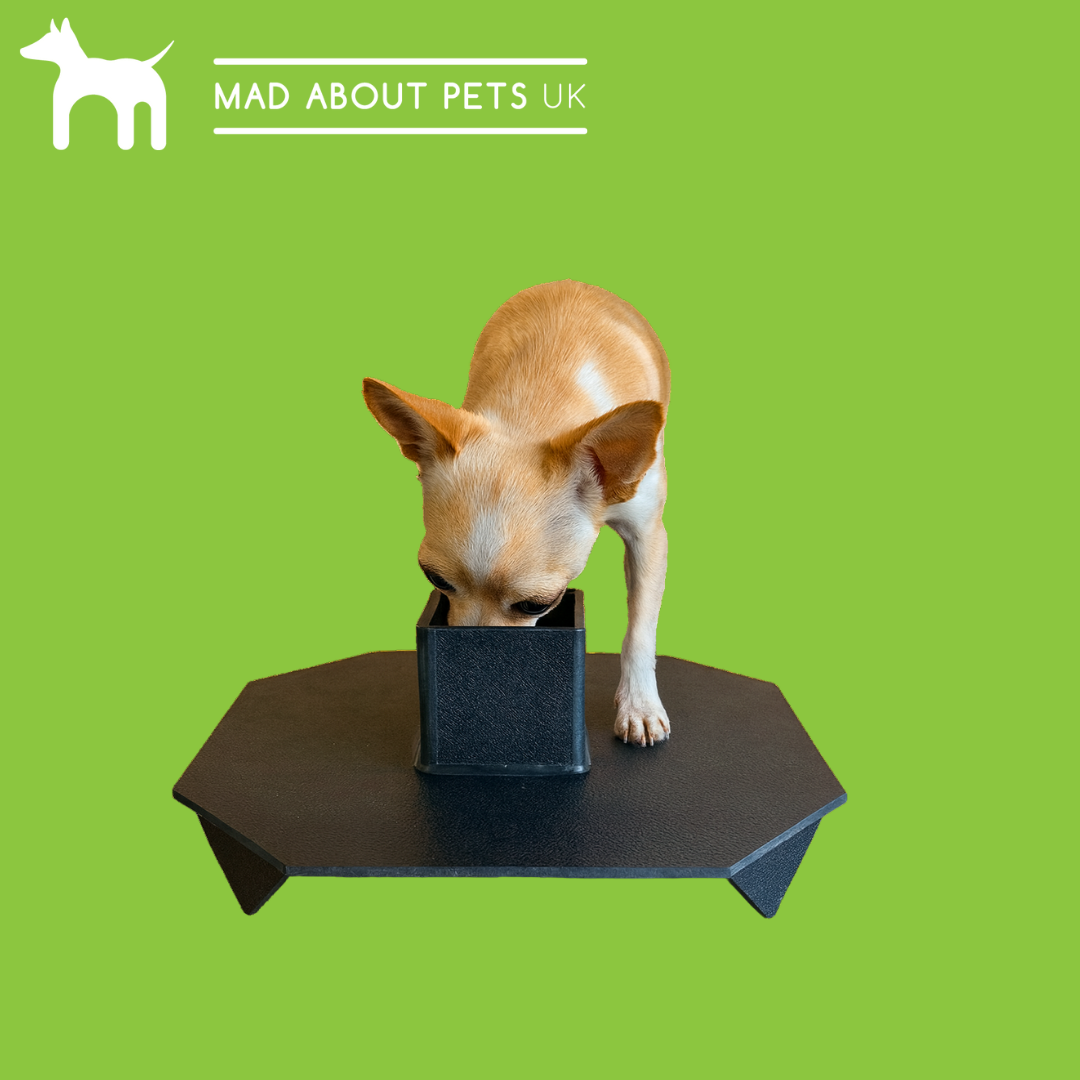 Scent Enrichment Octagon