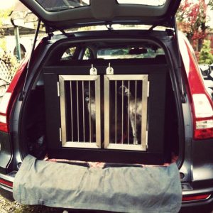 Honda CRV Dog box